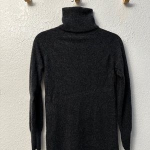 Like New Quince Mongolian Cashmere Turtleneck Sweater Dress